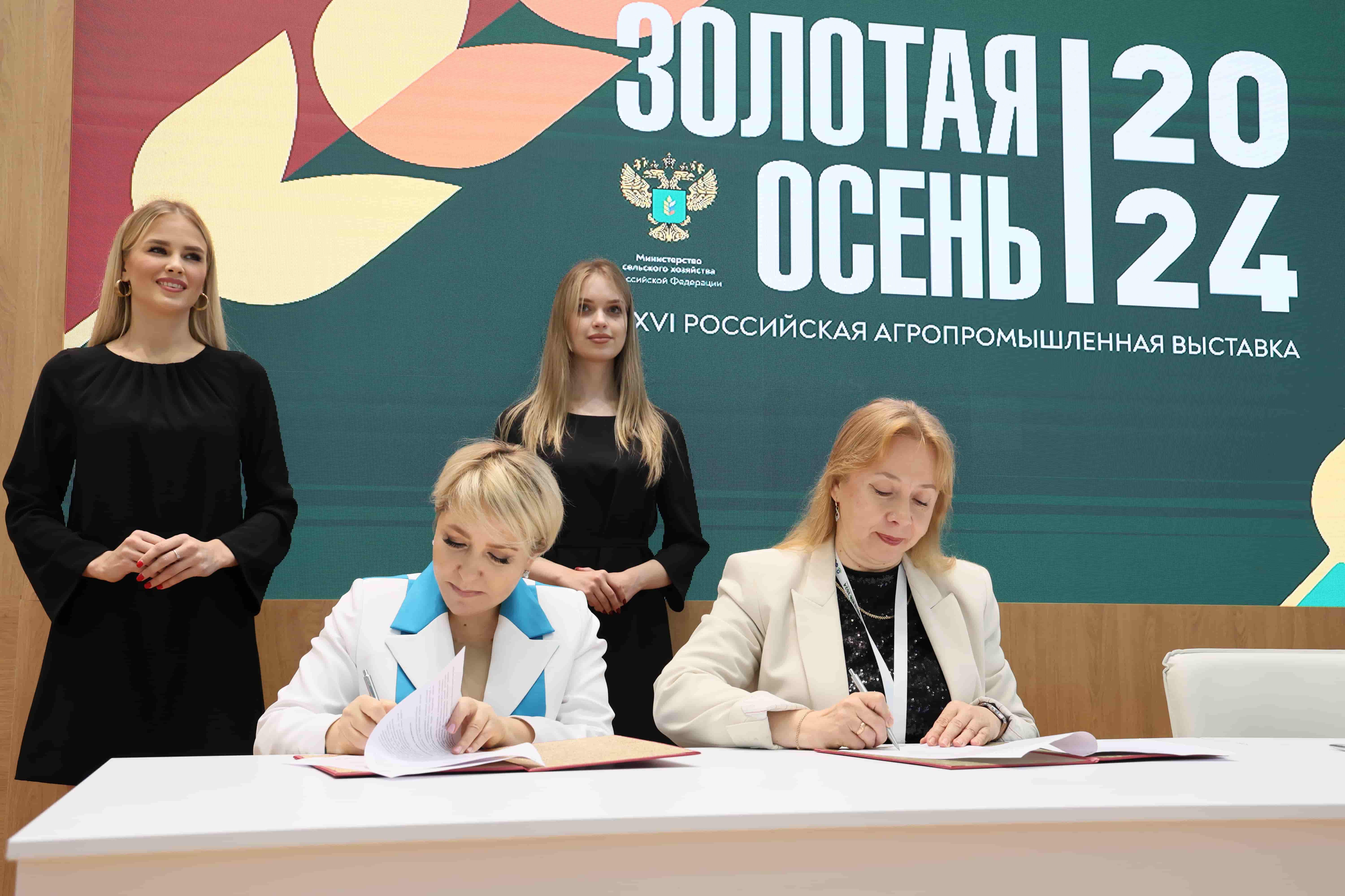 Золотая осень - время урожая и новых возможностей