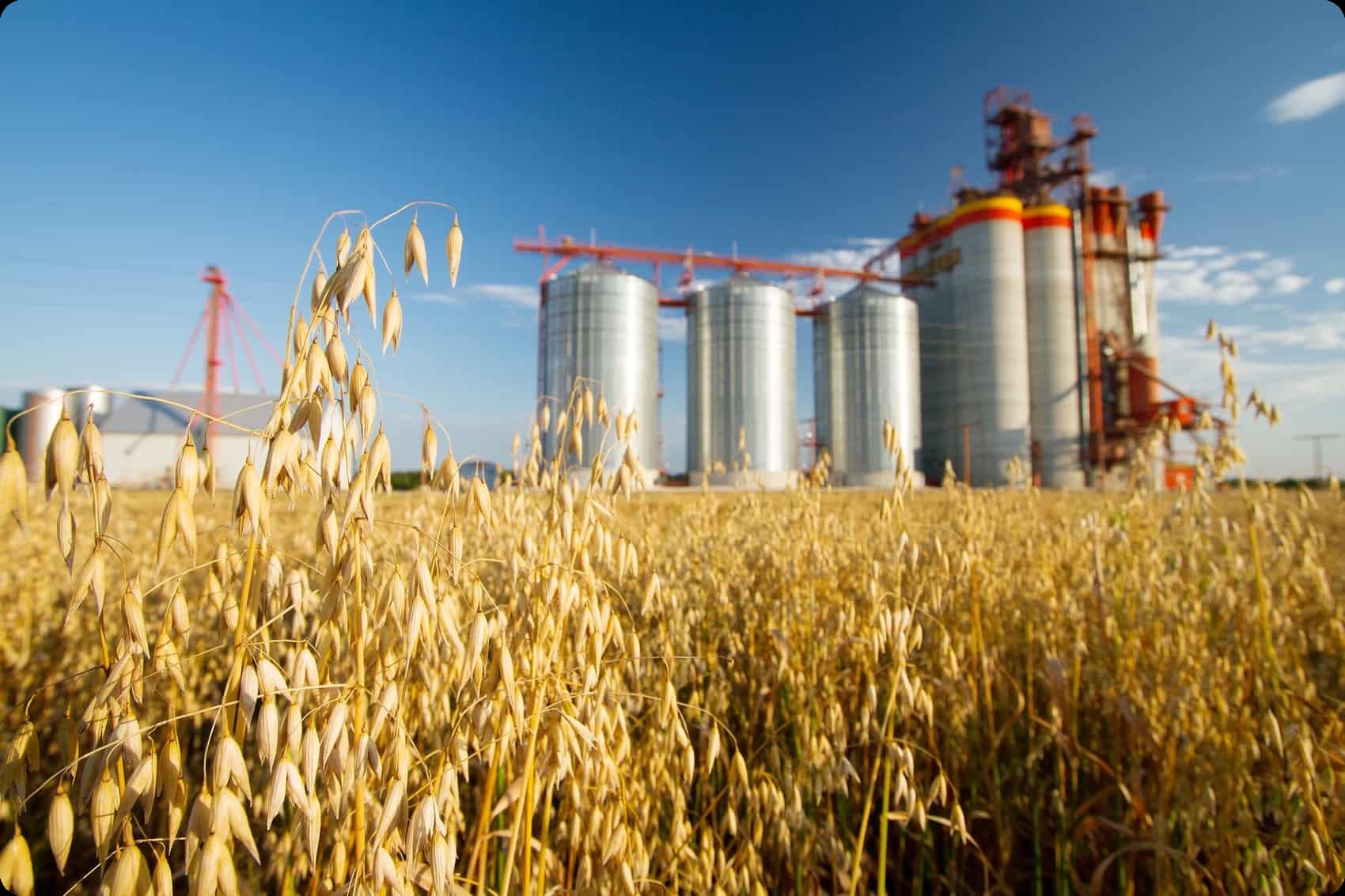 Технология переработки сельскохозяйственного сырья