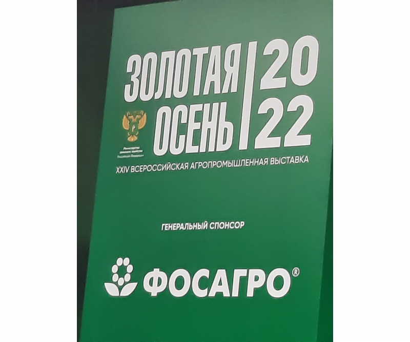 Золотая осень-2022