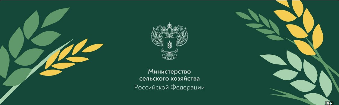 Официальные аккаунты Минсельхоза России в социальных сетях