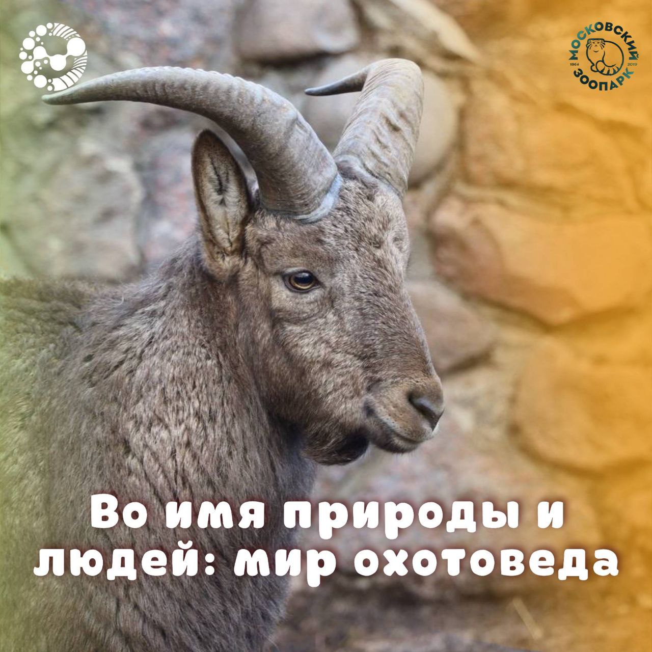 Университет Вернадского в Московском зоопарке