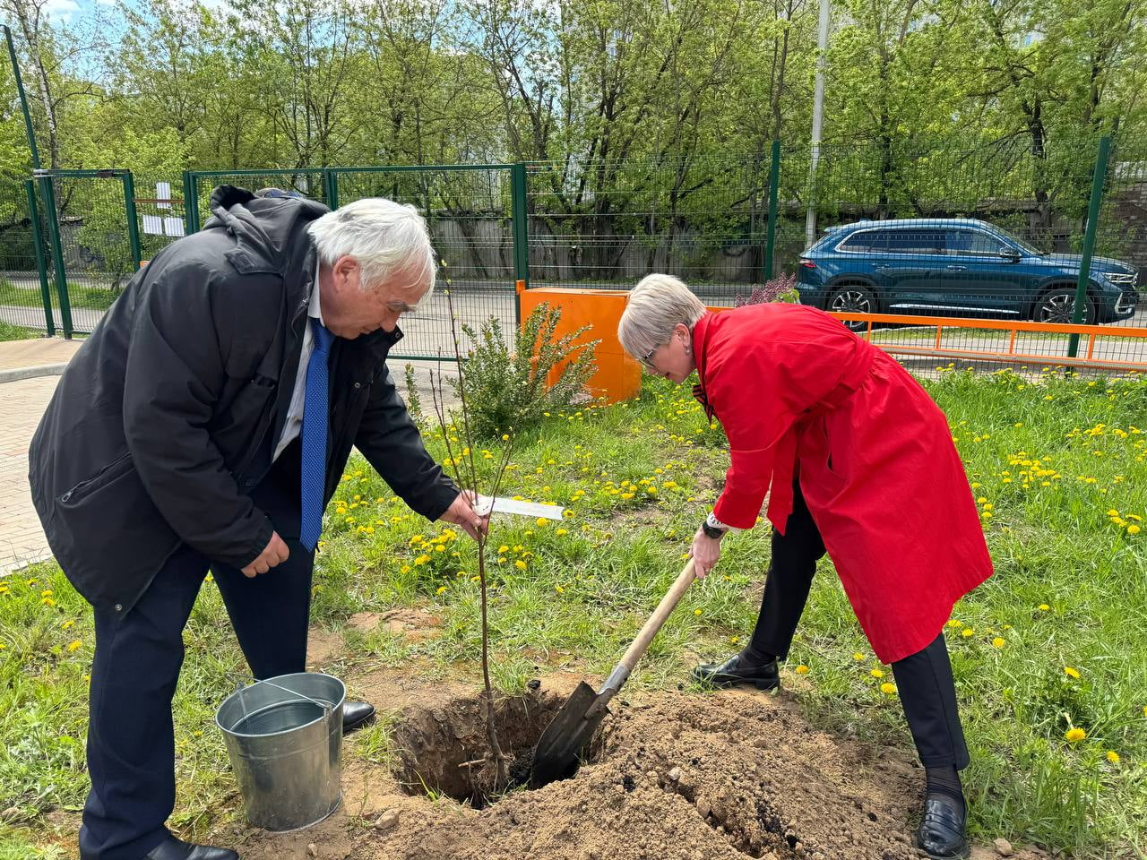 Здесь будет вишневый сад